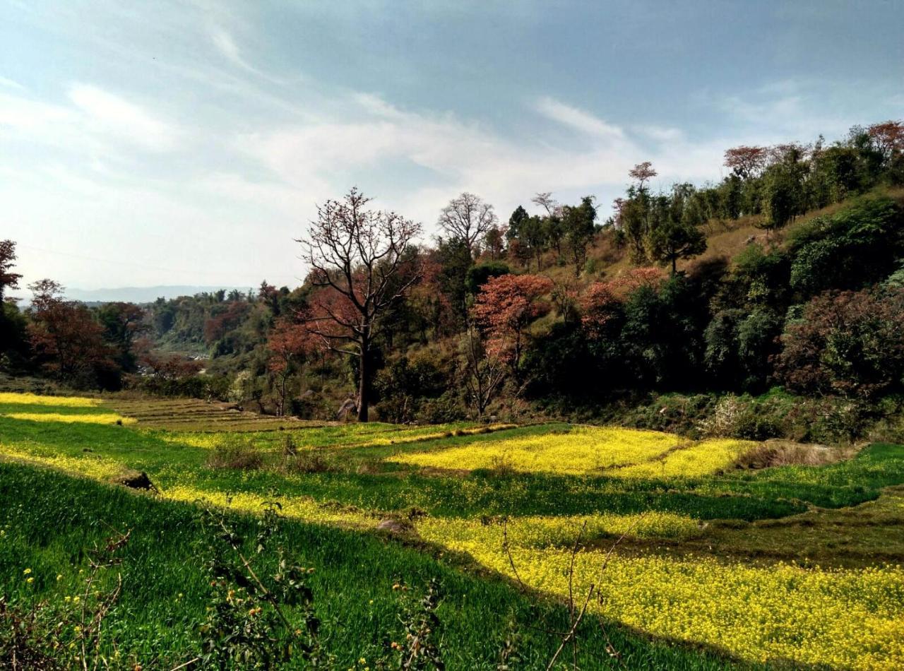 라크 호텔 Pālampur 외부 사진
